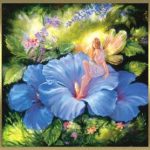 images de fées
