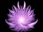 Présentation de la flamme violette